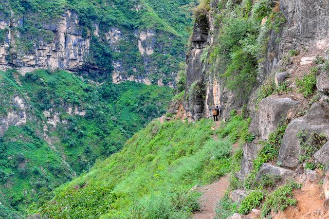 四川批準(zhǔn)涼山7縣摘帽脫貧！全省88個(gè)貧困縣全部清零
